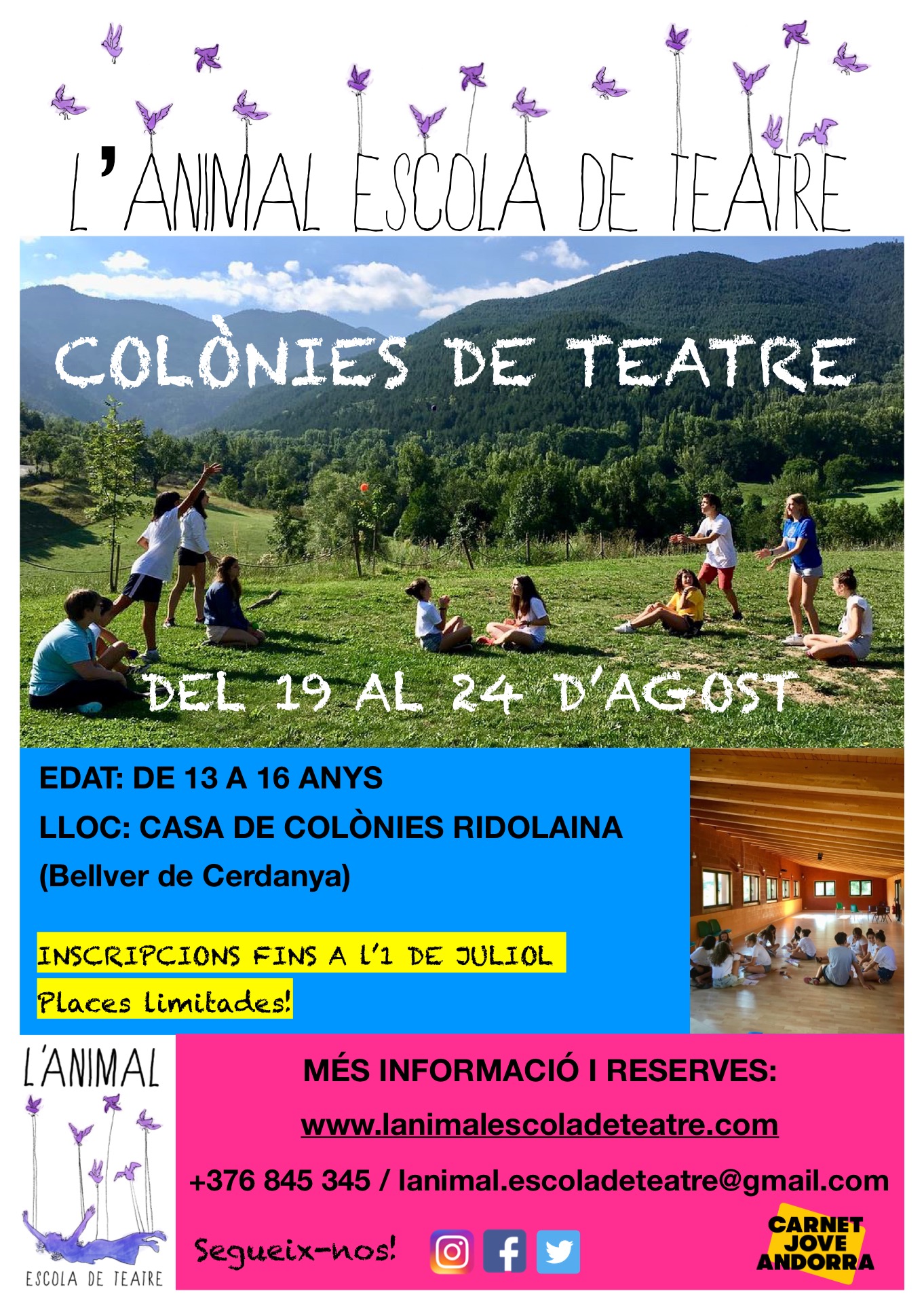 cartell colònies 2019