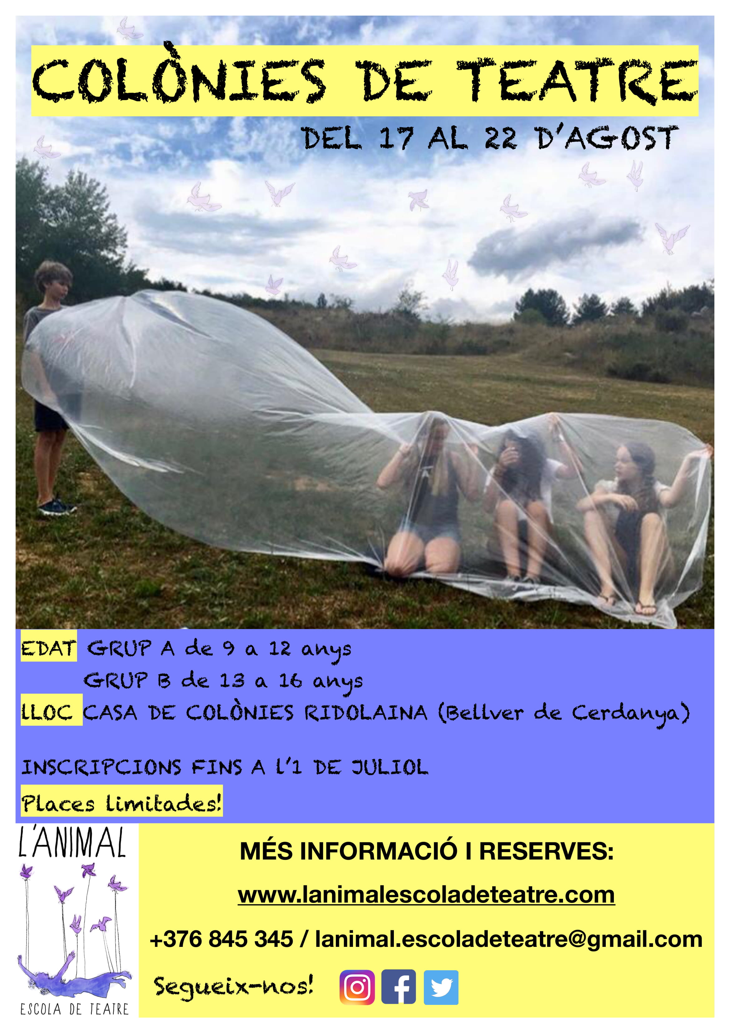 COLÒNIES 2020 ok-1